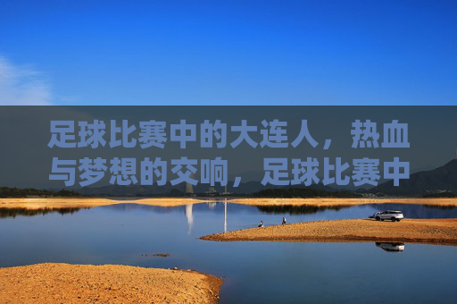 足球比赛中的大连人，热血与梦想的交响，足球比赛中的大连人，热血与梦想的交响