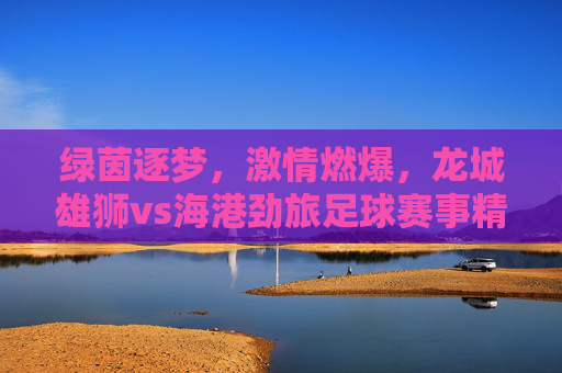绿茵逐梦,激情燃爆,龙城雄狮vs海港劲旅足球赛事精彩回顾,绿茵逐梦,激情燃爆,龙城雄狮vs海港劲旅足球赛事精彩回顾
