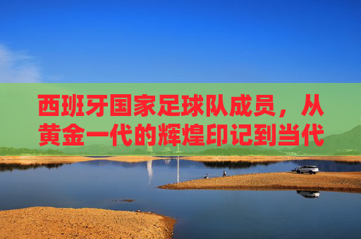 西班牙国家足球队成员，从黄金一代的辉煌印记到当代的传承力量，西班牙国家足球队，从黄金一代的辉煌印记到当代的传承力量