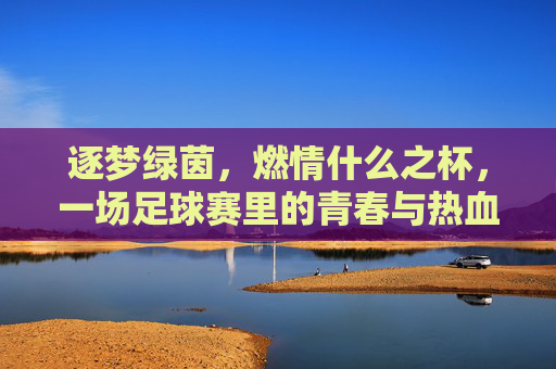 逐梦绿茵，燃情什么之杯，一场足球赛里的青春与热血
