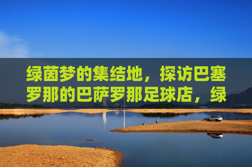 绿茵梦的集结地,探访巴塞罗那的巴萨罗那足球店,绿茵梦的集结地,探访巴塞罗那的巴萨罗那足球店