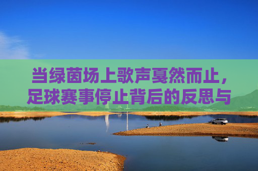 当绿茵场上歌声戛然而止,足球赛事停止背后的反思与期待,当绿茵场上歌声戛然而止,足球赛事停止背后的反思与期待