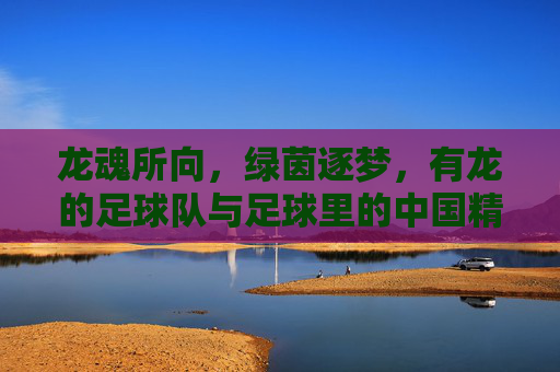 龙魂所向，绿茵逐梦，有龙的足球队与足球里的中国精神，龙魂所向，绿茵逐梦，有龙的足球队与中国足球精神