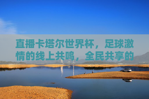 直播卡塔尔世界杯,足球激情的线上共鸣,全民共享的体育盛宴