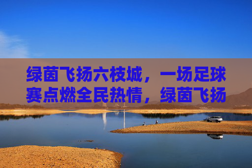 绿茵飞扬六枝城，一场足球赛点燃全民热情，绿茵飞扬六枝城，一场足球赛点燃全民热情