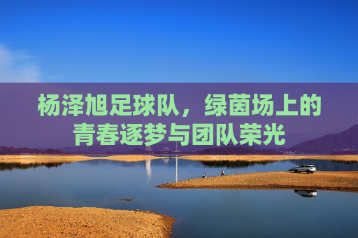 杨泽旭足球队，绿茵场上的青春逐梦与团队荣光