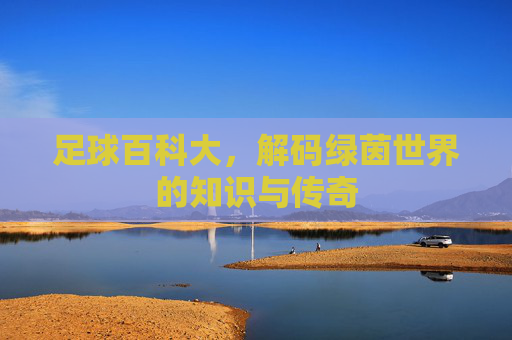 足球百科大，解码绿茵世界的知识与传奇