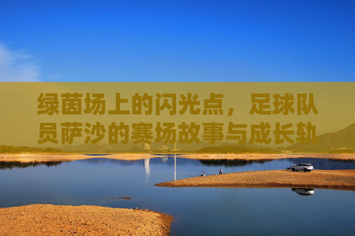 绿茵场上的闪光点，足球队员萨沙的赛场故事与成长轨迹