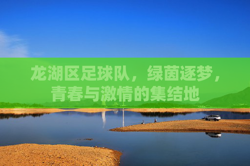 龙湖区足球队，绿茵逐梦，青春与激情的集结地