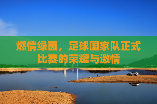 燃情绿茵,足球国家队正式比赛的荣耀与激情