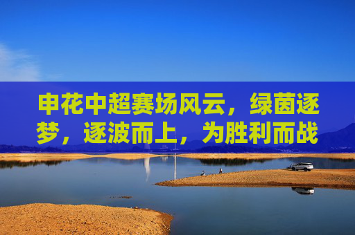 申花中超赛场风云，绿茵逐梦，逐波而上，为胜利而战——记上海申花队在中超联赛中的精彩征程，申花中超赛场风云，绿茵逐梦，逐波而上，为胜利而战——记上海申花队在中超联赛中的精彩征程