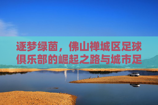 逐梦绿茵，佛山禅城区足球俱乐部的崛起之路与城市足球文化传承
