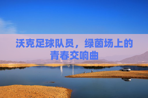 沃克足球队员，绿茵场上的青春交响曲