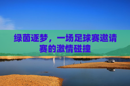 绿茵逐梦,一场足球赛邀请赛的激情碰撞