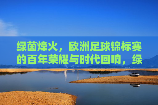 绿茵烽火,欧洲足球锦标赛的百年荣耀与时代回响,绿茵烽火,欧洲足球锦标赛的百年荣耀与时代回响