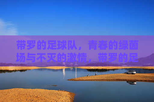 带罗的足球队，青春的绿茵场与不灭的激情，带罗的足球队，青春绿茵场与不灭的激情
