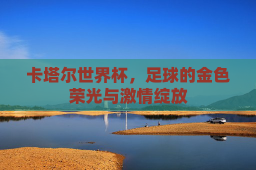 卡塔尔世界杯,足球的金色荣光与激情绽放