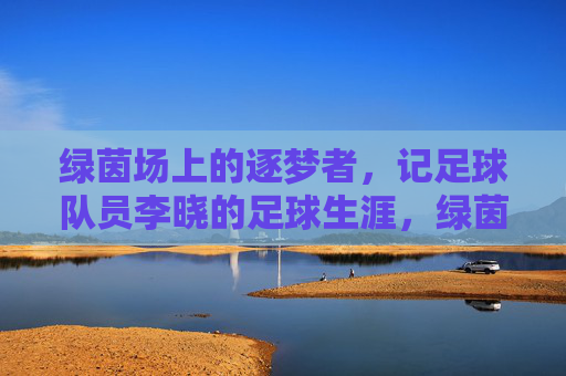 绿茵场上的逐梦者，记足球队员李晓的足球生涯，绿茵场上的逐梦者，记足球队员李晓的足球生涯