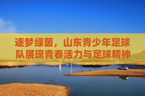 逐梦绿茵，山东青少年足球队展现青春活力与足球精神，逐梦绿茵，山东青少年足球队展现青春活力与足球精神