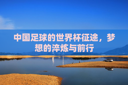 中国足球的世界杯征途,梦想的淬炼与前行