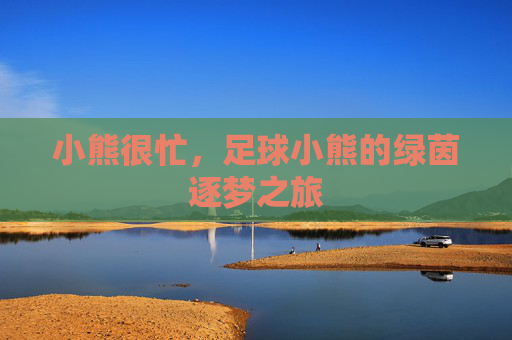 小熊很忙，足球小熊的绿茵逐梦之旅
