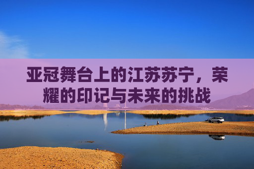 亚冠舞台上的江苏苏宁，荣耀的印记与未来的挑战