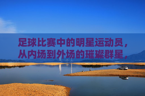 足球比赛中的明星运动员，从内场到外场的璀璨群星，足球比赛中的明星运动员，从内场到外场的璀璨群星