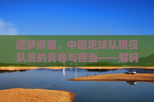 逐梦绿茵，中国足球队现役队员的青春与担当——解码中国足球新力量，逐梦绿茵，中国足球队现役队员的青春与担当——解码中国足球新力量