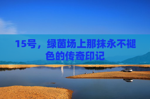 15号，绿茵场上那抹永不褪色的传奇印记