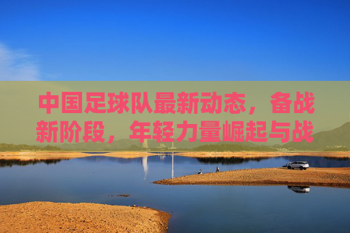 中国足球队最新动态,备战新阶段,年轻力量崛起与战术调整并行——近期消息汇总与分析