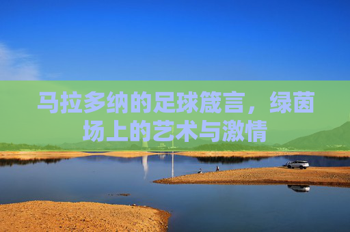马拉多纳的足球箴言，绿茵场上的艺术与激情