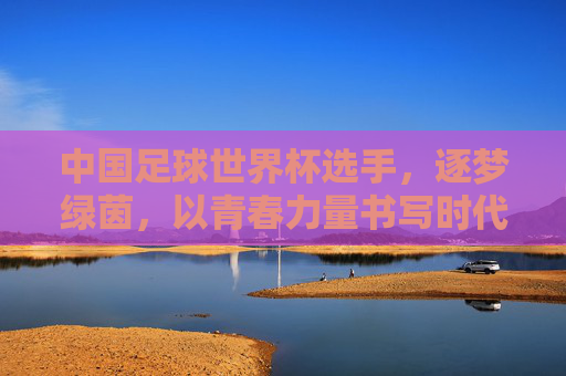 中国足球世界杯选手，逐梦绿茵，以青春力量书写时代答卷，中国足球世界杯选手，逐梦绿茵，以青春力量书写时代答卷