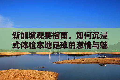 新加坡观赛指南,如何沉浸式体验本地足球的激情与魅力