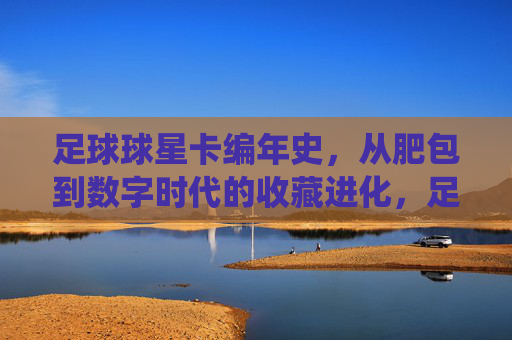 足球球星卡编年史，从肥包到数字时代的收藏进化，足球球星卡编年史，从传统肥包到数字时代的收藏进化