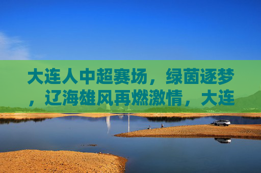 大连人中超赛场,绿茵逐梦,辽海雄风再燃激情,大连人中超赛场,绿茵逐梦,辽海雄风再燃激情