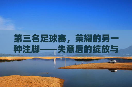 第三名足球赛，荣耀的另一种注脚——失意后的绽放与体育精神的永恒回响