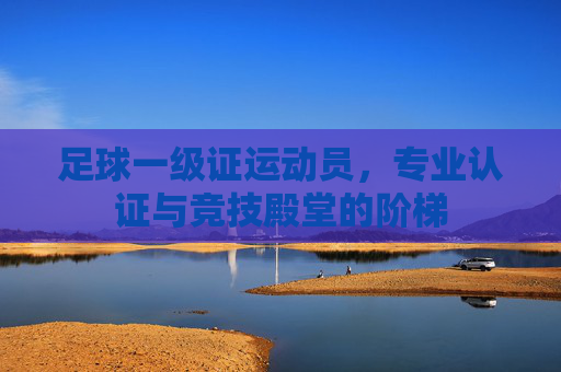 足球一级证运动员,专业认证与竞技殿堂的阶梯