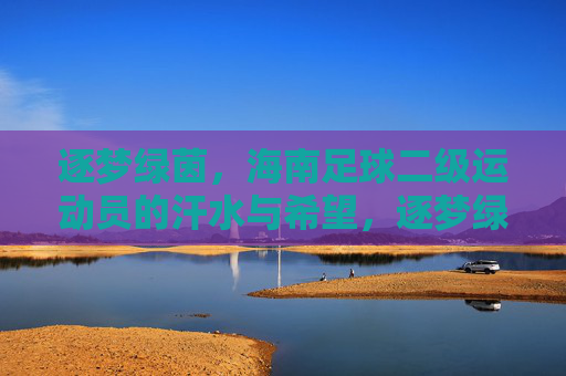 逐梦绿茵，海南足球二级运动员的汗水与希望，逐梦绿茵，海南足球二级运动员的汗水与希望