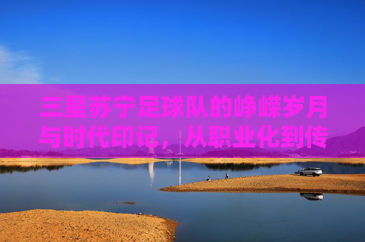 三星苏宁足球队的峥嵘岁月与时代印记,从职业化到传承的足球故事