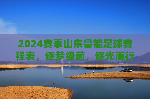 2024赛季山东鲁能足球赛程表，逐梦绿茵，逐光而行——球迷观赛指南与球队征程解读
