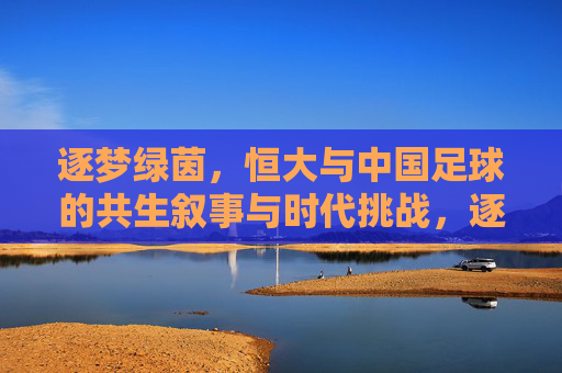 逐梦绿茵，恒大与中国足球的共生叙事与时代挑战，逐梦绿茵，恒大与中国足球的共生叙事与时代挑战