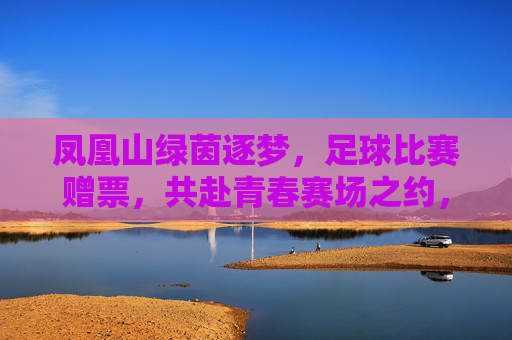 凤凰山绿茵逐梦,足球比赛赠票,共赴青春赛场之约,凤凰山绿茵逐梦,足球比赛赠票,共赴青春赛场之约