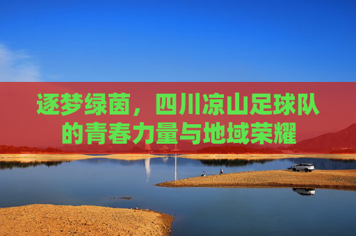 逐梦绿茵，四川凉山足球队的青春力量与地域荣耀