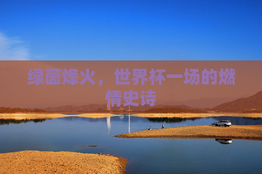 绿茵烽火，世界杯一场的燃情史诗