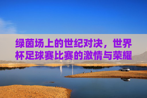 绿茵场上的世纪对决，世界杯足球赛比赛的激情与荣耀，绿茵场上的世纪对决，世界杯足球赛的激情与荣耀