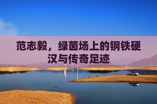 范志毅,绿茵场上的钢铁硬汉与传奇足迹