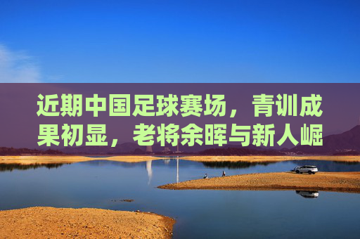 近期中国足球赛场,青训成果初显,老将余晖与新人崛起交织,挑战与希望并存