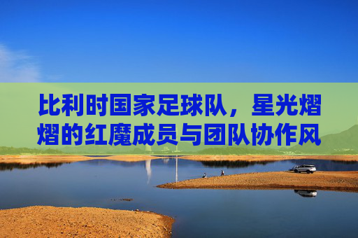 比利时国家足球队,星光熠熠的红魔成员与团队协作风采