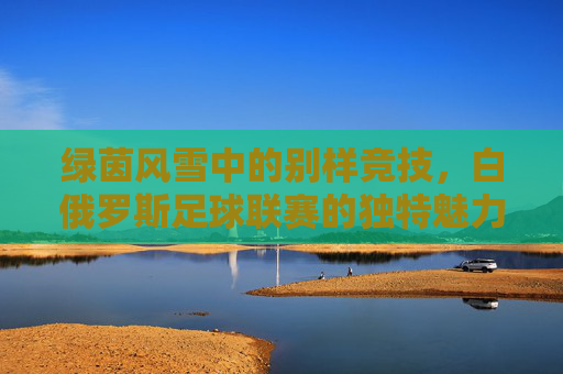 绿茵风雪中的别样竞技，白俄罗斯足球联赛的独特魅力与时代印记，绿茵风雪中的别样竞技，白俄罗斯足球联赛的独特魅力与时代印记