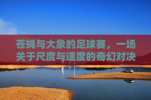 苍蝇与大象的足球赛,一场关于尺度与速度的奇幻对决